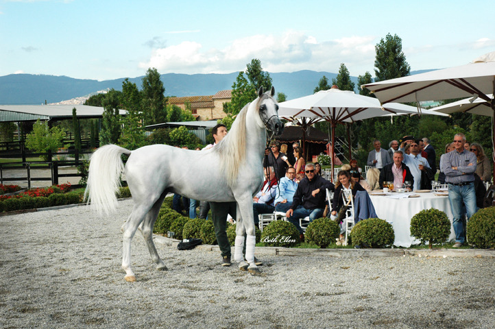 GIACOMO CAPACCI OPEN HOUSE