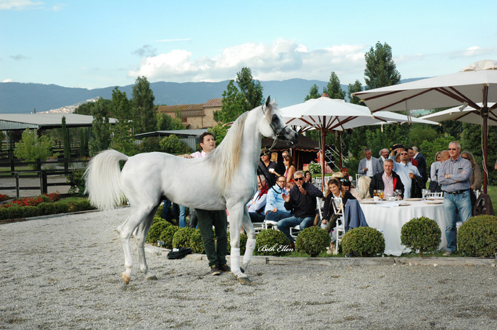 GIACOMO CAPACCI OPEN HOUSE