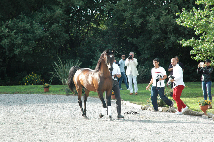 GIACOMO CAPACCI OPEN HOUSE