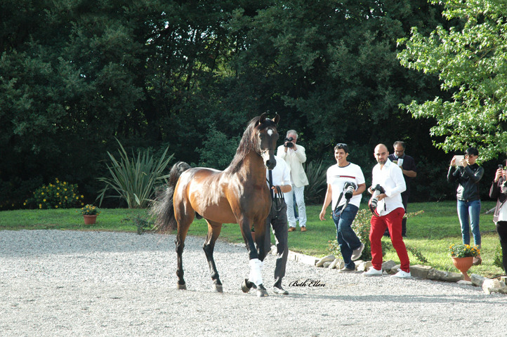 GIACOMO CAPACCI OPEN HOUSE