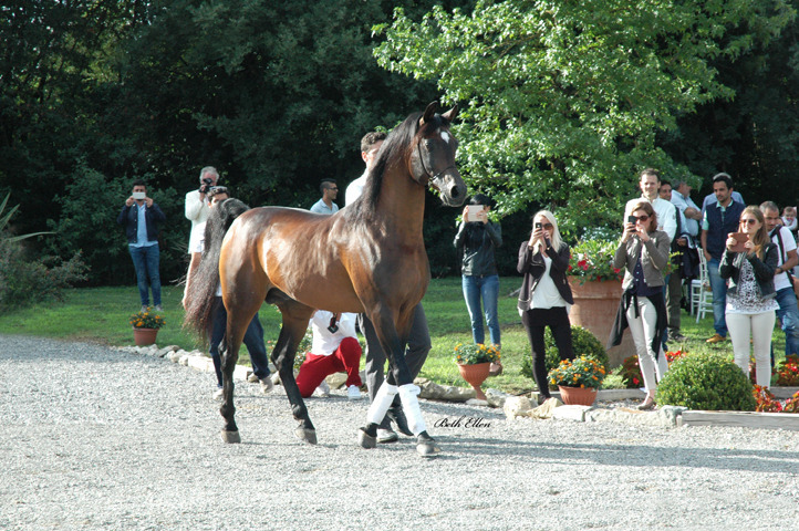 GIACOMO CAPACCI OPEN HOUSE