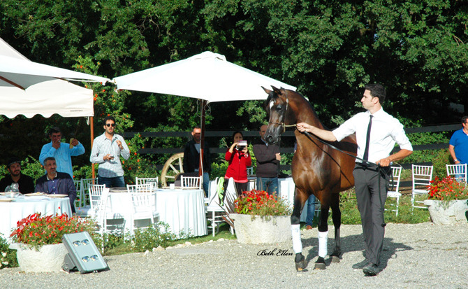 GIACOMO CAPACCI OPEN HOUSE