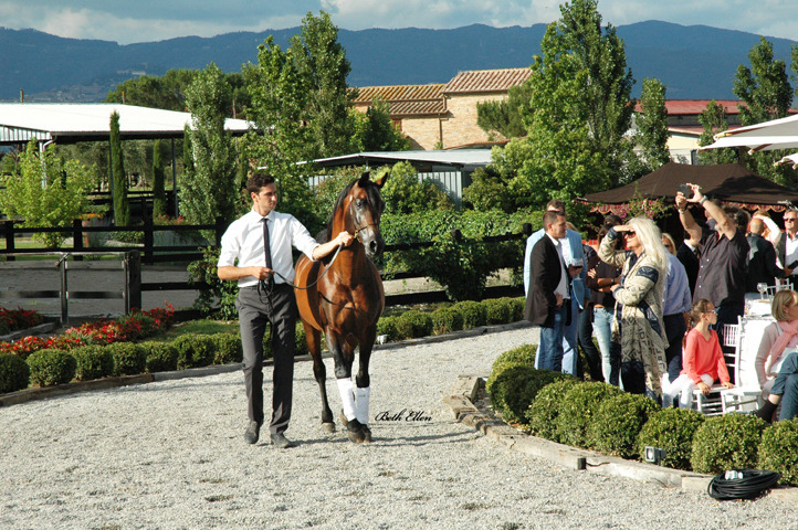 GIACOMO CAPACCI OPEN HOUSE