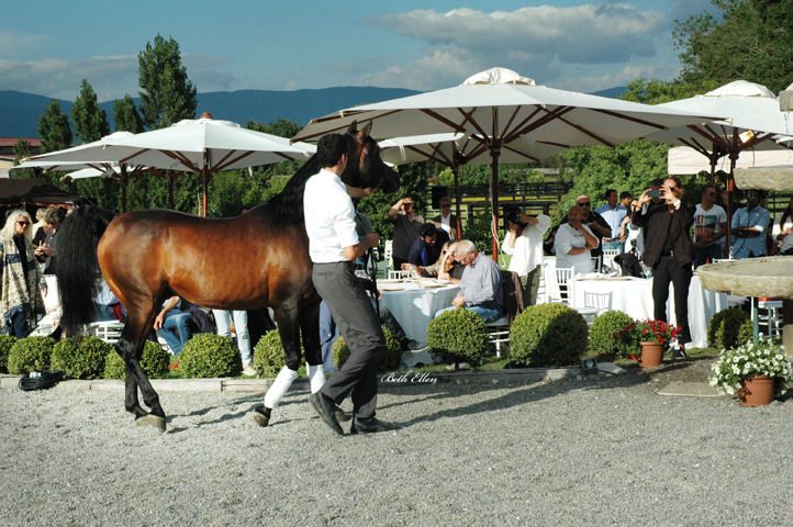 GIACOMO CAPACCI OPEN HOUSE