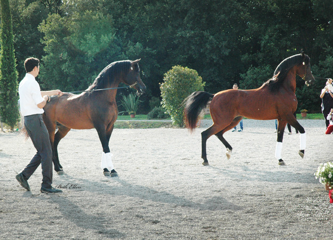 GIACOMO CAPACCI OPEN HOUSE