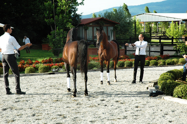 GIACOMO CAPACCI OPEN HOUSE