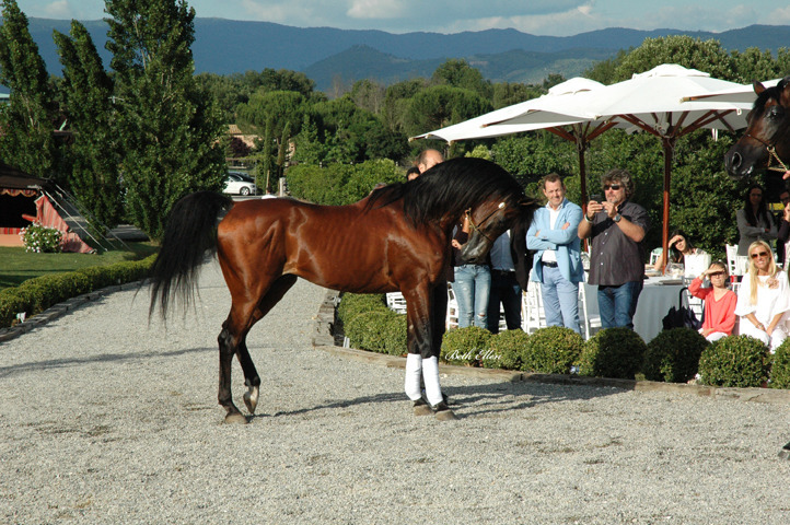 GIACOMO CAPACCI OPEN HOUSE