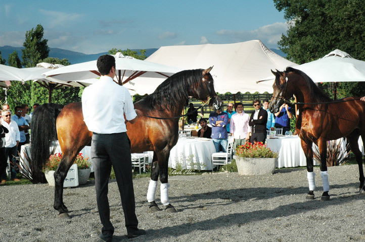 GIACOMO CAPACCI OPEN HOUSE