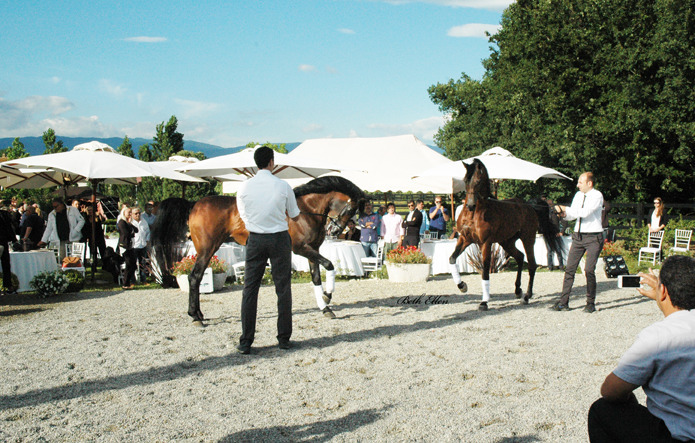 GIACOMO CAPACCI OPEN HOUSE