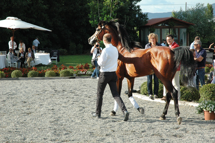 GIACOMO CAPACCI OPEN HOUSE