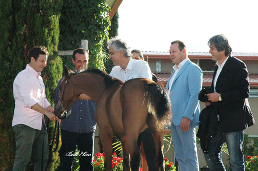 GIACOMO CAPACCI OPEN HOUSE