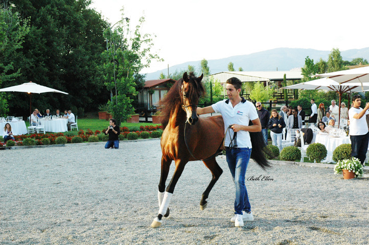 GIACOMO CAPACCI OPEN HOUSE