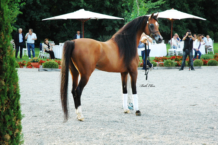 GIACOMO CAPACCI OPEN HOUSE