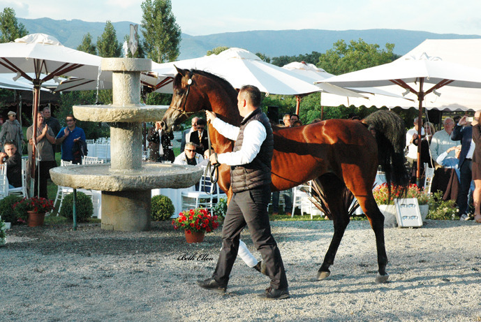 GIACOMO CAPACCI OPEN HOUSE