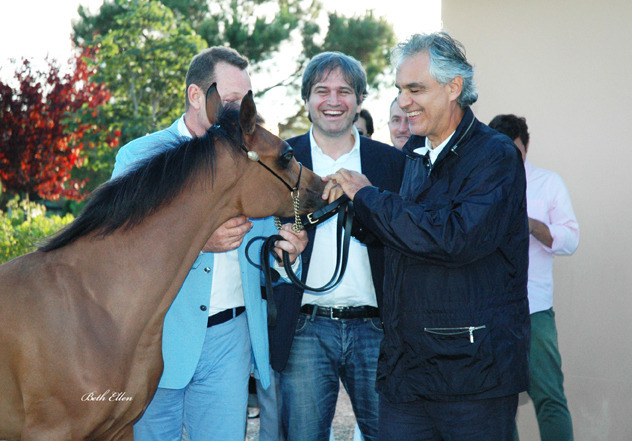 GIACOMO CAPACCI OPEN HOUSE