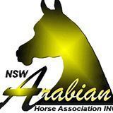 52th National Arabian Horse Show