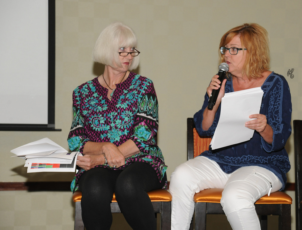 The Panelists: Cynthia Culbertson and Becky Rogers