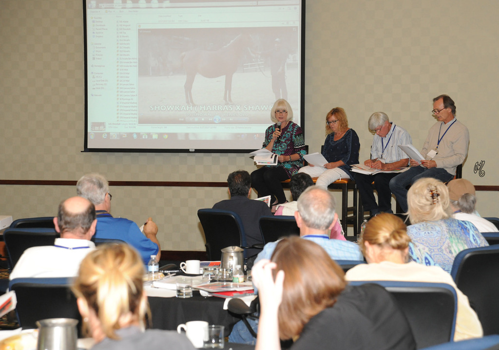 The Panelists: Cynthia Culbertson, Becky Rogers, Jim Panek and Joe Ferriss