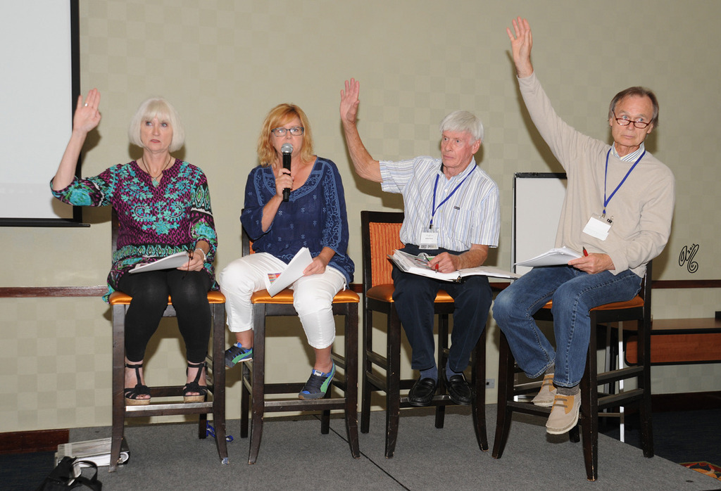 The Panelists: Cynthia Culbertson, Becky Rogers, Jim Panek and Joe Ferriss