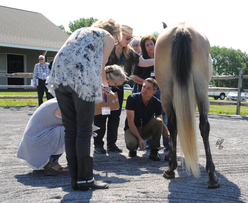 Ted Carson teaching about legs