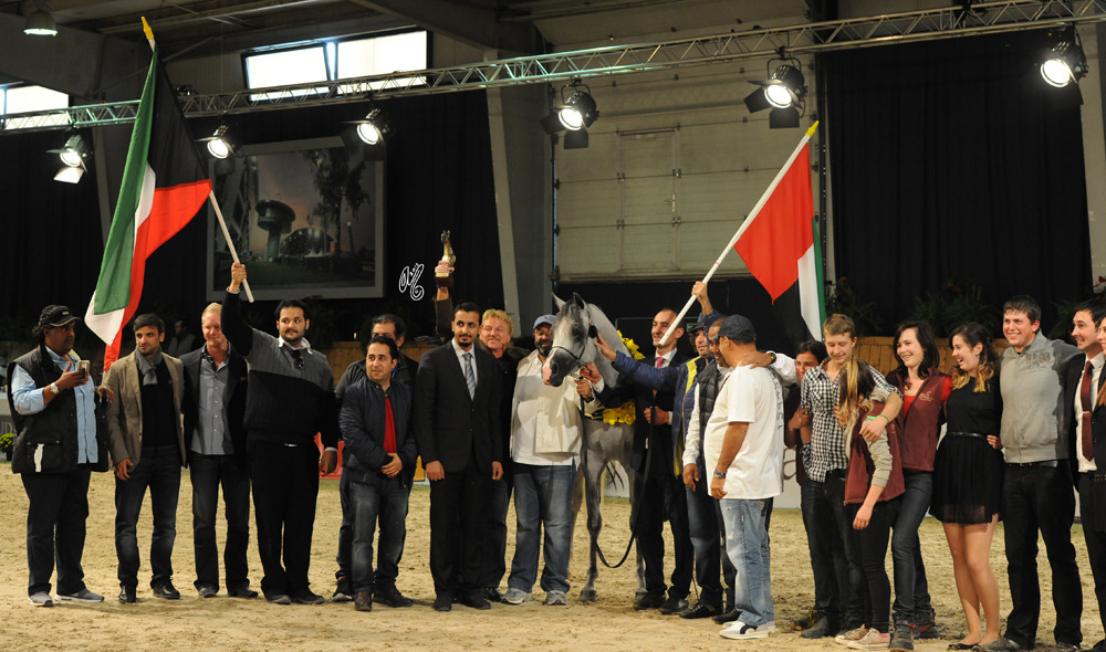 Senior Stallion Gold Champion E.S. Harir (AJ Dinar X  TF Magnum’s Magic)