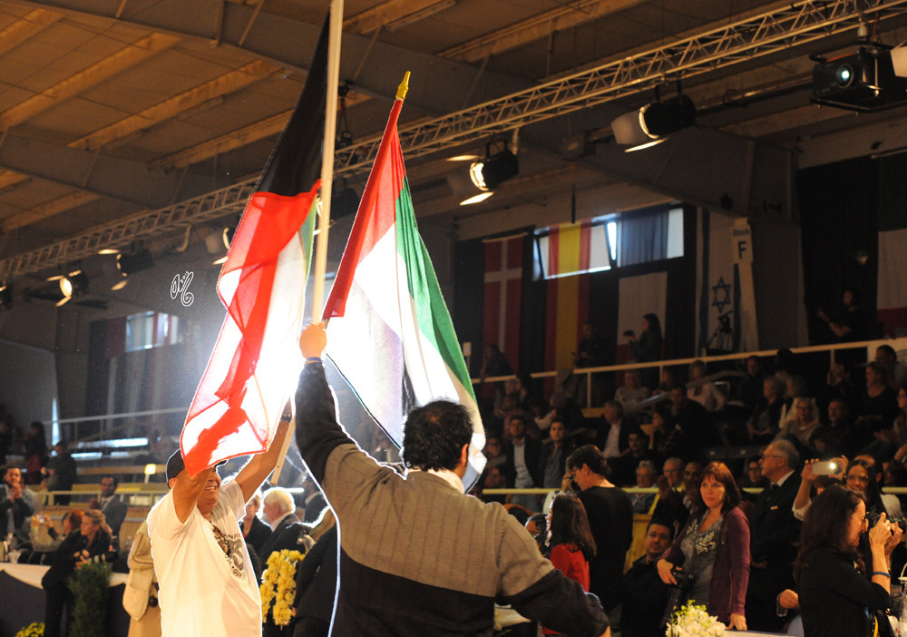 The Senior Stallion Gold Champion was E.S. Harir!!