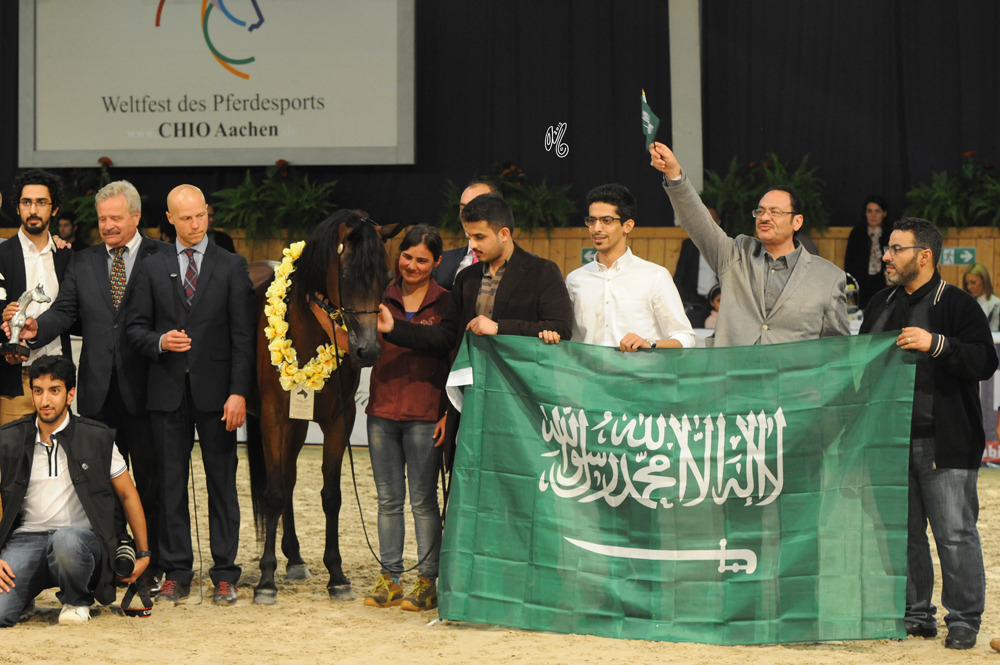 Senior Mare Silver Champion Pinga (Gazal Al Shaqab X Pilar)