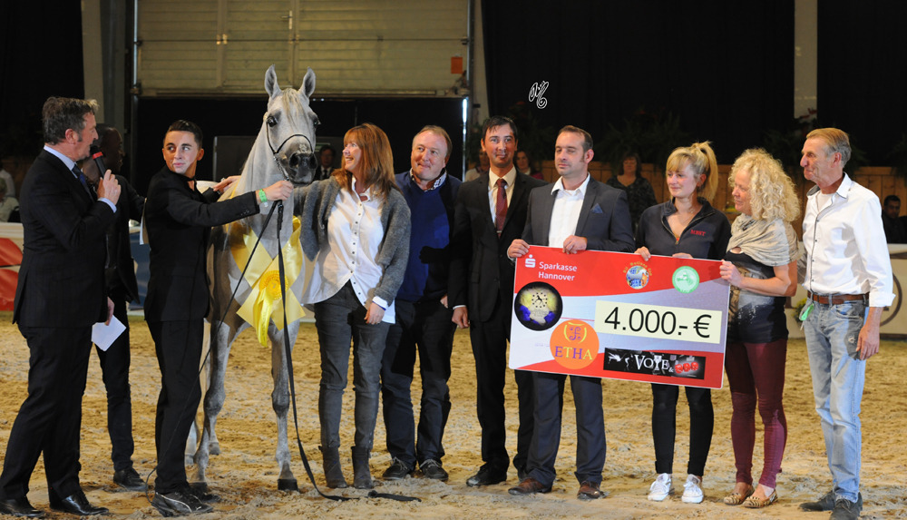 Gelding Gold Champion AJA Adonis (Wh Justice X Sanadina)