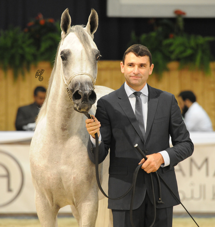 Wadad Zamani (Laheeb X Zena Al Buraq)
