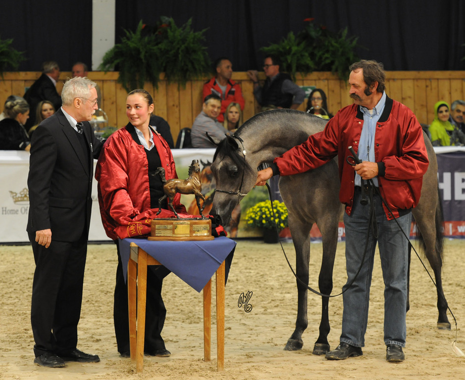 Rebecka Uggelkahl (Sweden) became the 2015 recipient of the Handlers Cup!