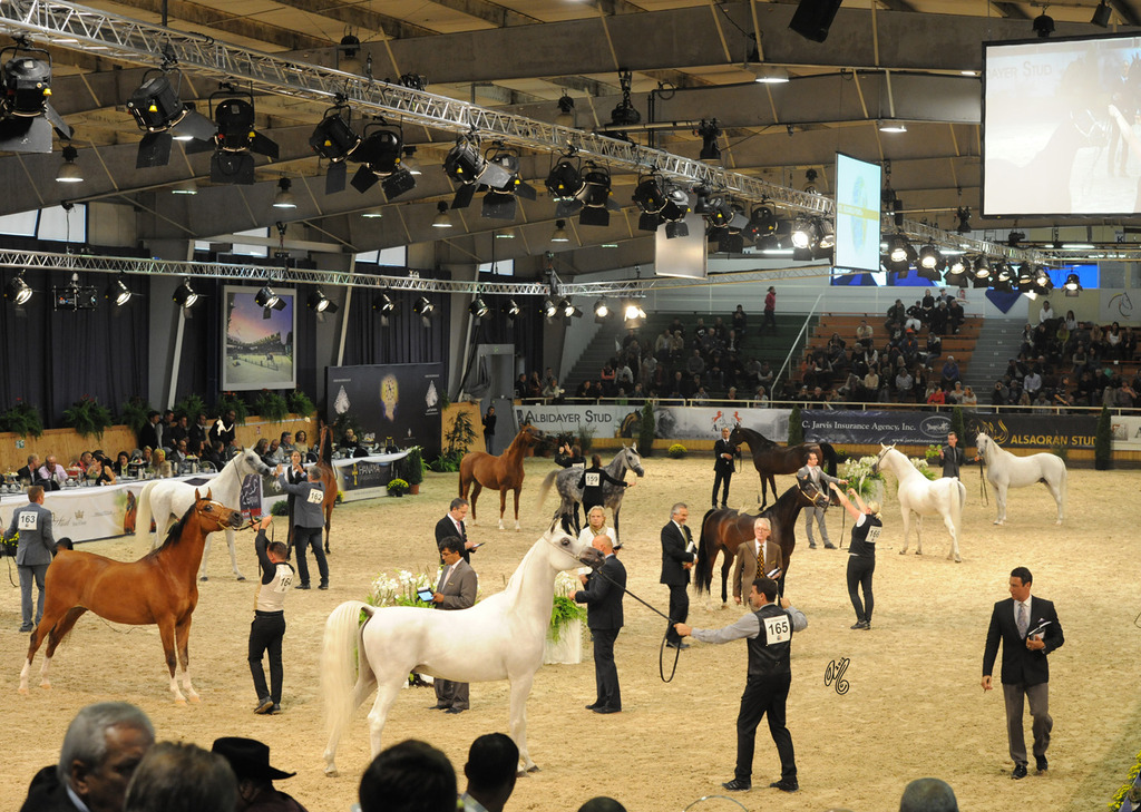 2015 All Nations Cup!