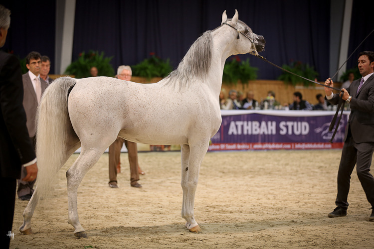 PA Paschal (Om El Shahmaan X Paris To Rome), photo by Henrike Hörmann 