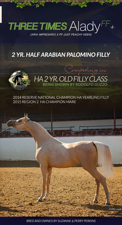 Three Times Alady FF+