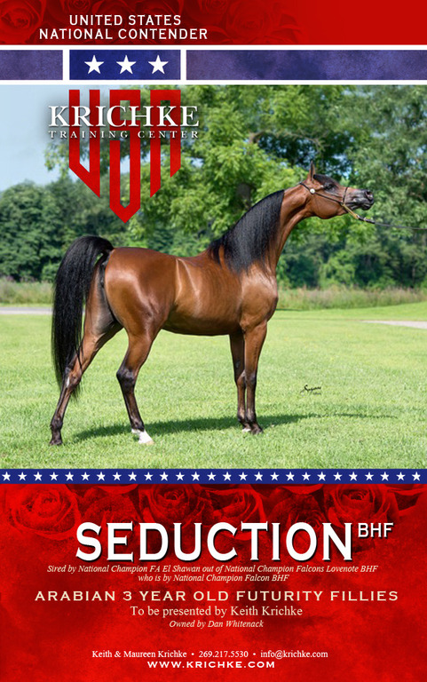Seduction BHF