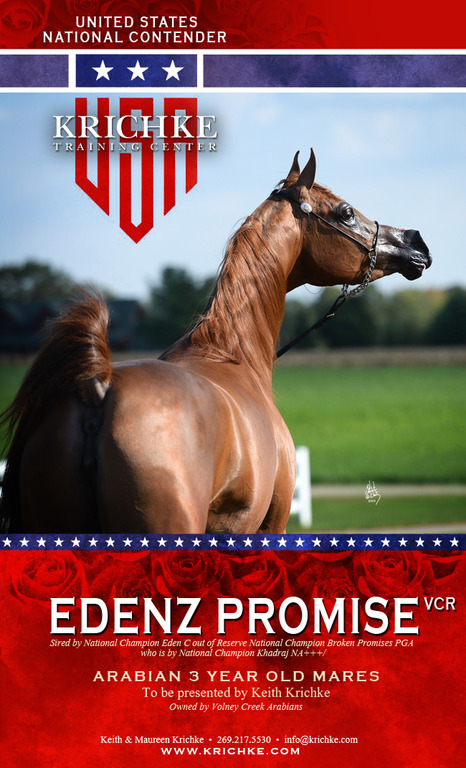 Edenz Promise VCR