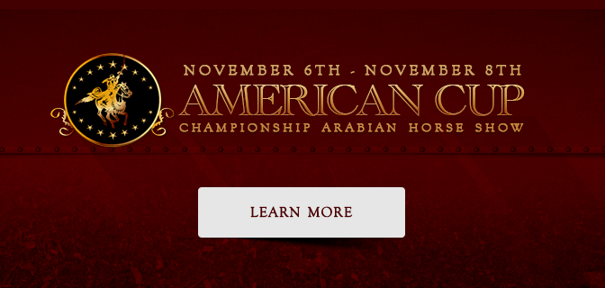 American Cup Championships