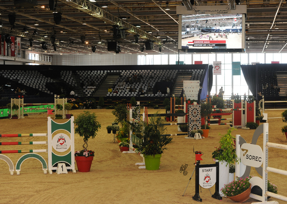 Competition: The International Show Jumping 