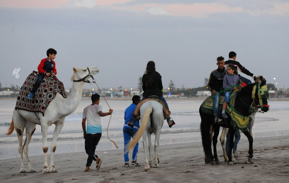 El Jadida: The coast