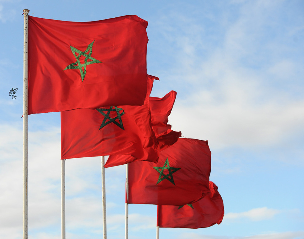 Welcome to the 2015 Salon Du Cheval D’ El Jadida