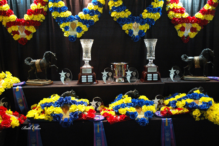 THE 2015 ARABIAN NATIONAL BREEDER FINALS