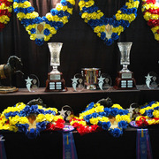 THE 2015 ARABIAN NATIONAL BREEDER FINALS