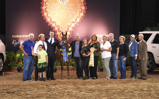 THE 2015 ARABIAN NATIONAL BREEDER FINALS