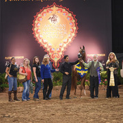 THE 2015 ARABIAN NATIONAL BREEDER FINALS