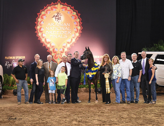 THE 2015 ARABIAN NATIONAL BREEDER FINALS