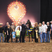 THE 2015 ARABIAN NATIONAL BREEDER FINALS