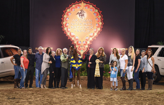 THE 2015 ARABIAN NATIONAL BREEDER FINALS
