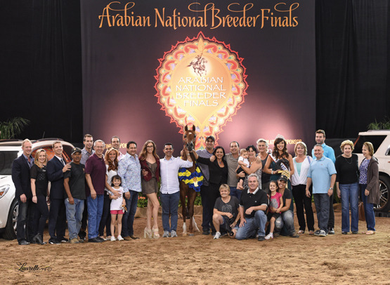 THE 2015 ARABIAN NATIONAL BREEDER FINALS
