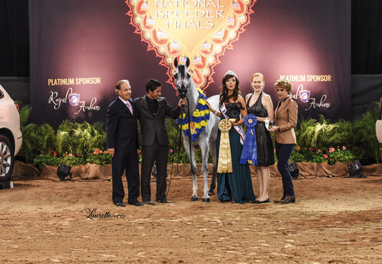 THE 2015 ARABIAN NATIONAL BREEDER FINALS