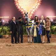 THE 2015 ARABIAN NATIONAL BREEDER FINALS