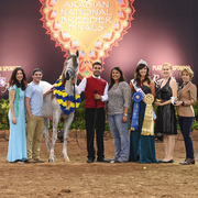 THE 2015 ARABIAN NATIONAL BREEDER FINALS